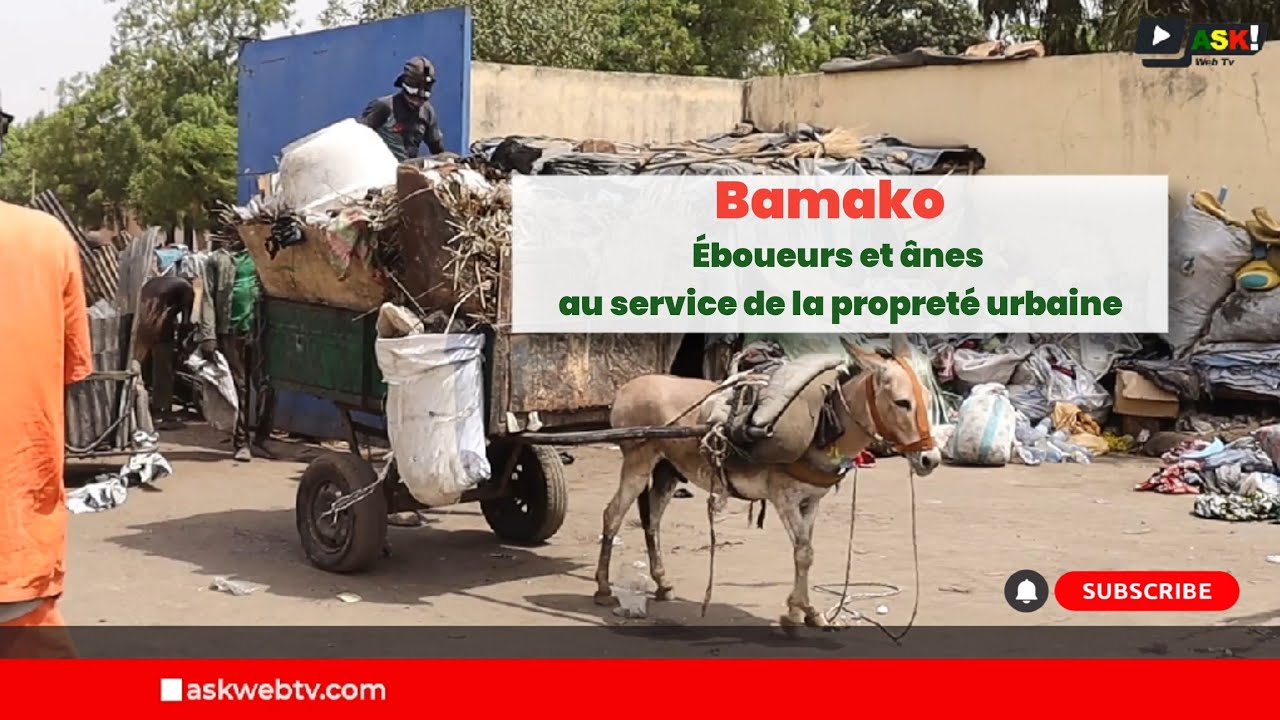 Bamako: Éboueurs et ânes au service de la propreté urbaine