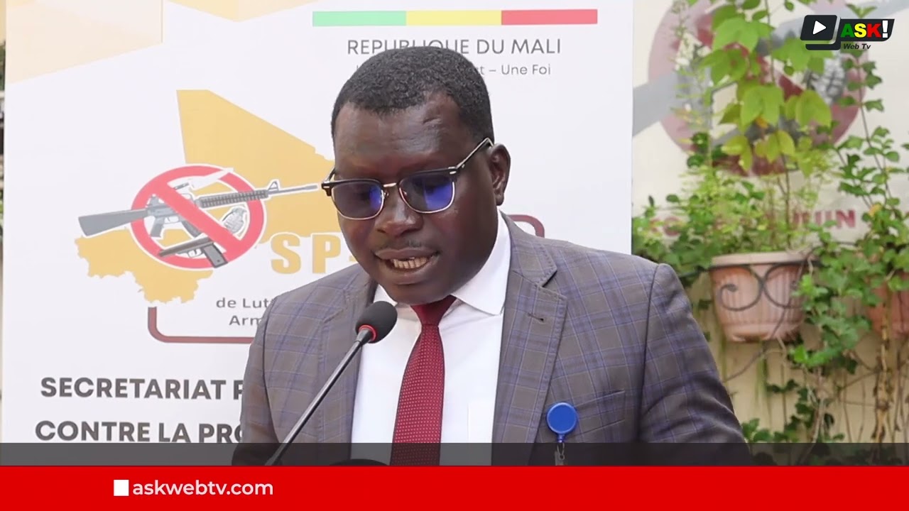 La lutte contre la prolifération des armes légères et de petit calibre