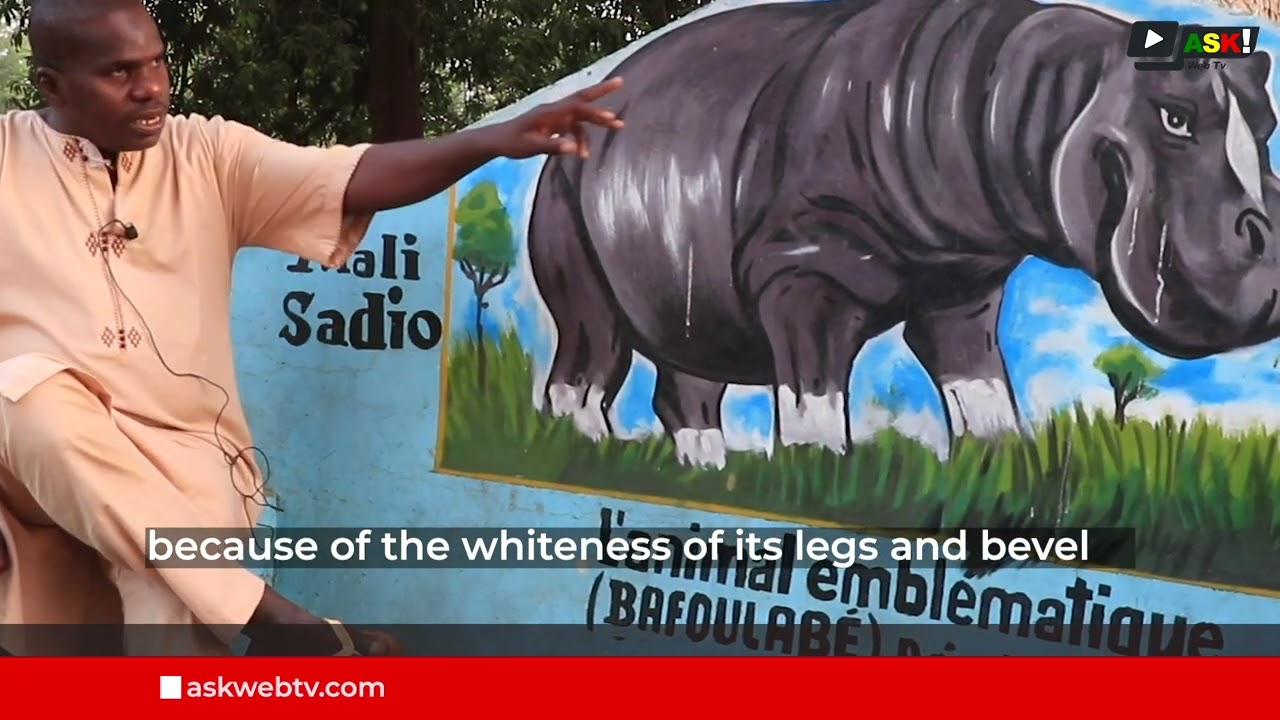 The fabulous story of Mali Sadio
