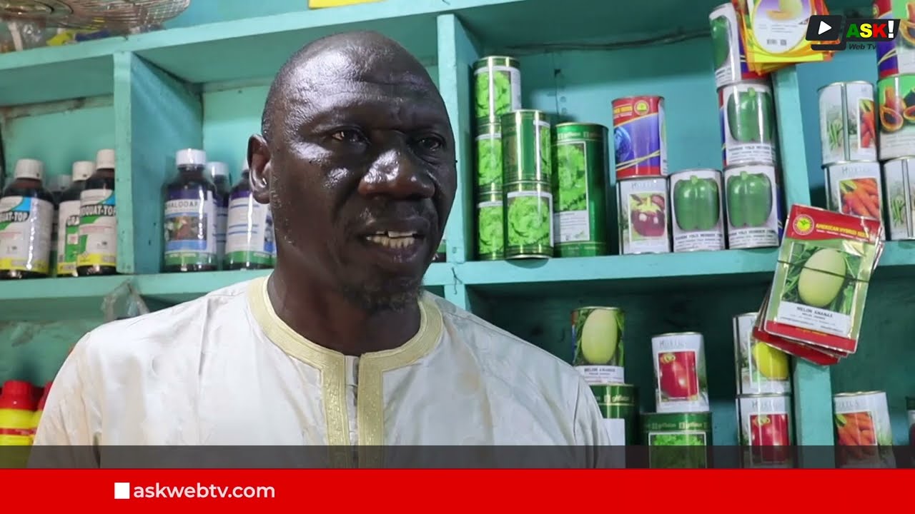 L’Herbicide au Mali : Perspectives croisées des vendeurs et des acheteurs