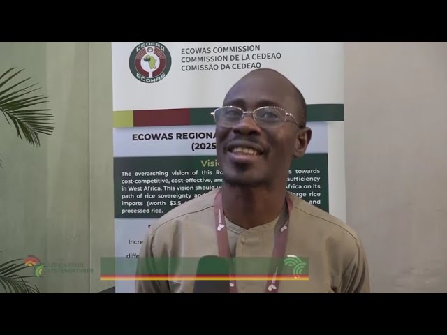 AFSF, Kigali 2024 : La CEDEAO présente sa stratégie régionale 2025 – 2035 sur le Riz