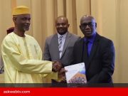 Mali: OIT publie ses rapports sur le travail des enfants