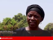 Une Journée au champ à Banguineda: Initiative d’un consortium d’ONG et d’acteurs agricoles