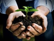 COMMUNIQUÉ DE PRESSE: La réunion de validation de la stratégie du programme « Soil Values » marque un nouveau tournant pour la santé des sols en Afrique de l’Ouest et au Sahel