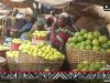 Citron au Mali : disponibilité, prix, conservation et bienfaits