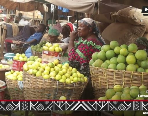 Citron au Mali : disponibilité, prix, conservation et bienfaits