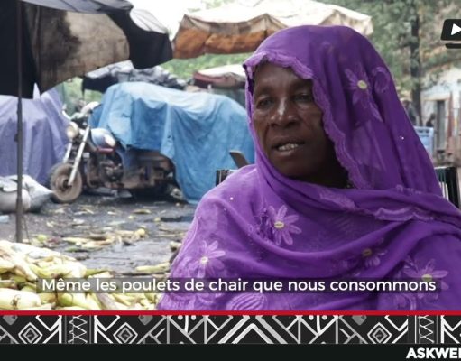 Maïs : de la transformation aux apports nutritionnels